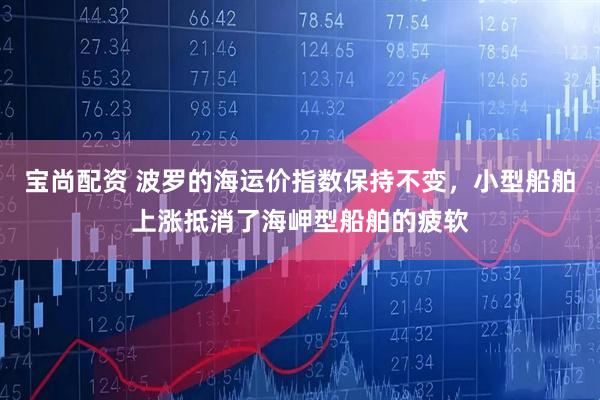 宝尚配资 波罗的海运价指数保持不变，小型船舶上涨抵消了海岬型船舶的疲软