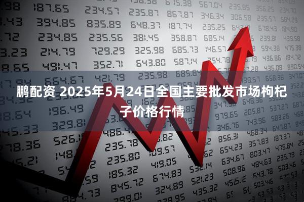 鹏配资 2025年5月24日全国主要批发市场枸杞子价格行情