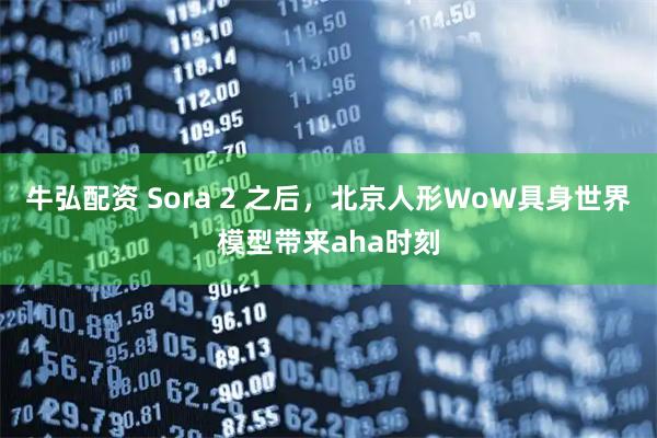 牛弘配资 Sora 2 之后，北京人形WoW具身世界模型带来aha时刻