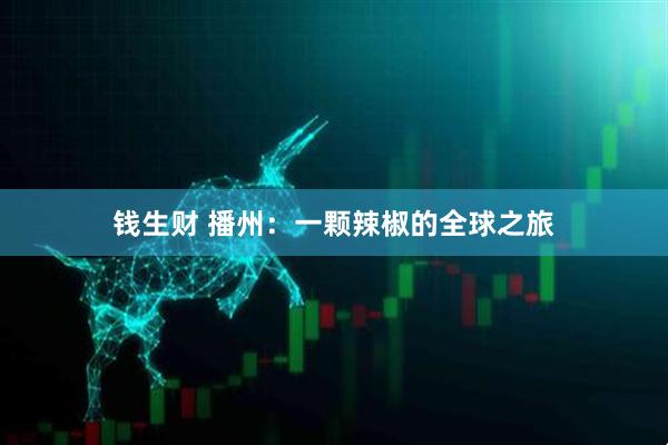 钱生财 播州：一颗辣椒的全球之旅